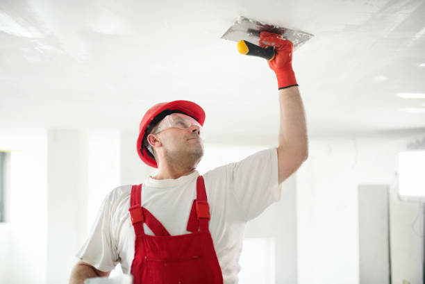 Best Drywall Crack Repair  in Hale Center, TX