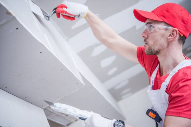 Best Commercial Painting  in Hale Center, TX